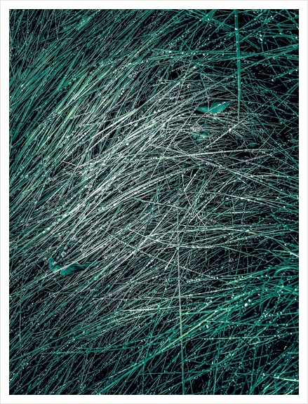green silky grass texture abstract Art Print by Timmy333