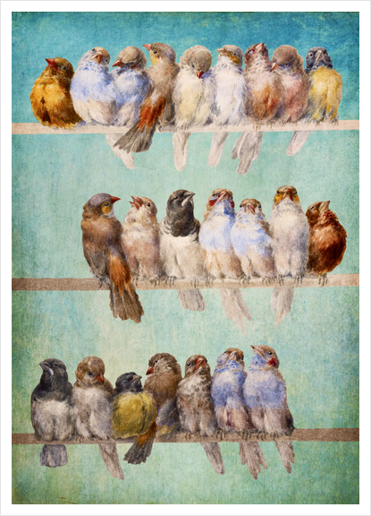 Birds Birds Birds Art Print by DVerissimo