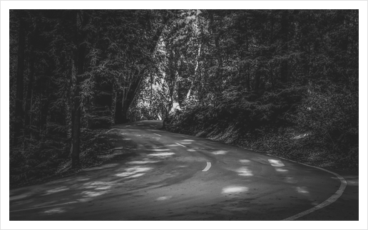 Road to nature on Highway 1, California, USA in black and white Art Print by Timmy333