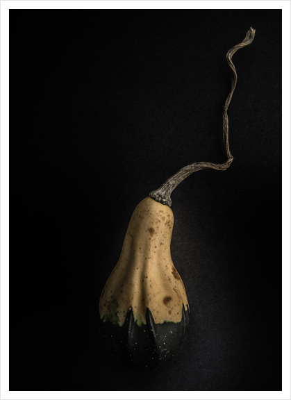 Gourds No 12 Color Version Art Print by The Learning Curve Photography
