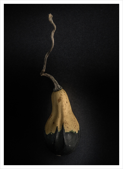Gourds No 16 Color Version Art Print by The Learning Curve Photography