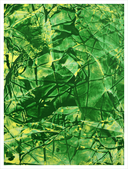 Raschegreen Art Print by Jerome Hemain