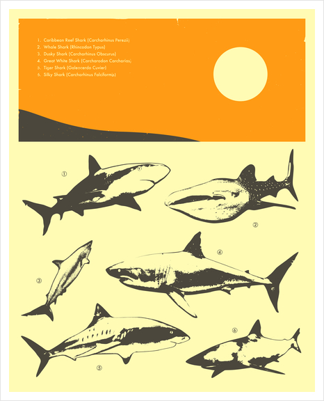 SHARKS Art Print by Jazzberry Blue