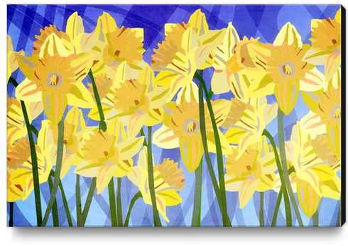 Spring Daffodils Canvas Print by paulgoddard