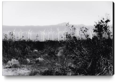 wind turbine with desert view in black and white Canvas Print by Timmy333