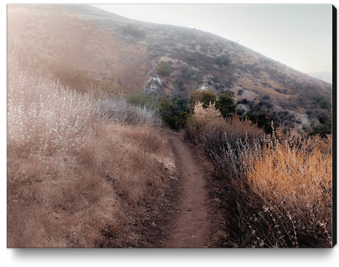 walkway with mountain view and dry grass field Canvas Print by Timmy333