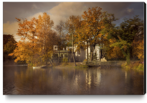 Golden leaves  Canvas Print by Jarek Blaminsky