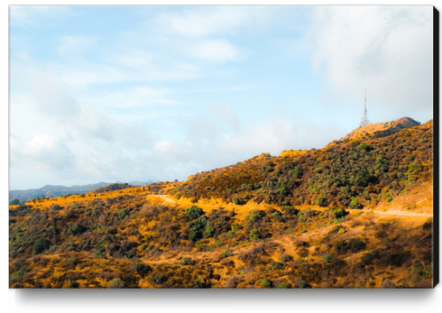 Hiking trail scenic to Hollywood Sign, Los Angeles, USA Canvas Print by Timmy333