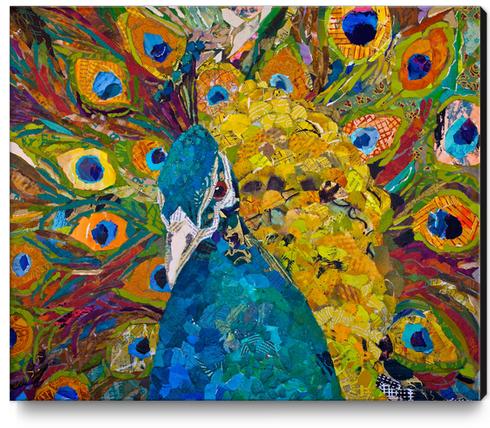 Jamis Peacock Canvas Print by Elizabeth St. Hilaire