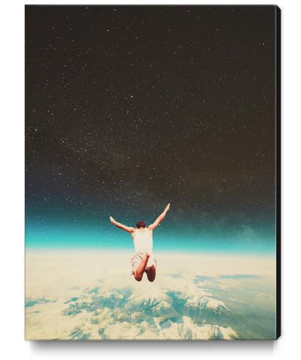Falling With A Hidden Smile Canvas Print by Frank Moth