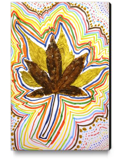 Feuille d'automne Canvas Print by Ivailo K