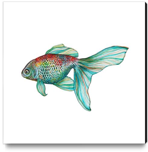 Fish Canvas Print by Nika_Akin