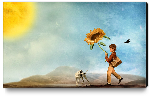 Follow the Sun Canvas Print by DVerissimo