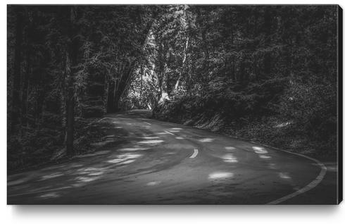 Road to nature on Highway 1, California, USA in black and white Canvas Print by Timmy333