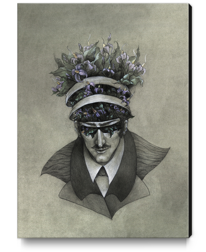 Nightshade  Canvas Print by Alice Holleman