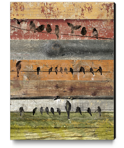 Bird composition II. Canvas Print by Irena Orlov