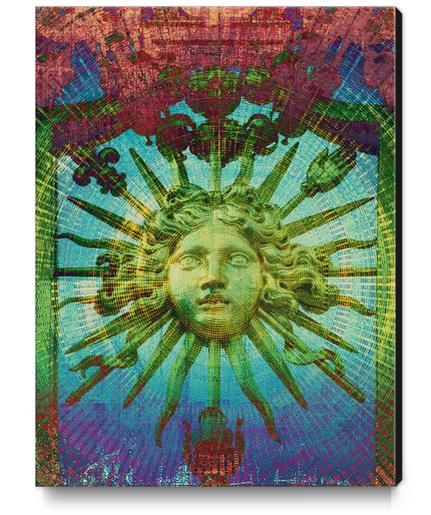 Le Roi Soleil Canvas Print by Malixx