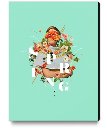 Spring Canvas Print by Frank Moth