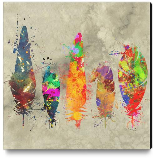 Painted feathers Canvas Print by Alexandre Ibáñez