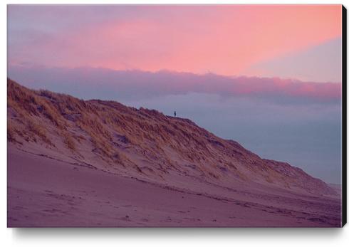 ENJOYING THE SILENCE Canvas Print by DANIEL COULMANN