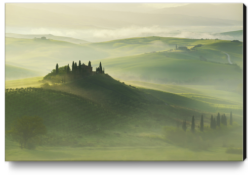 Val d'Orcia Canvas Print by Jarek Blaminsky