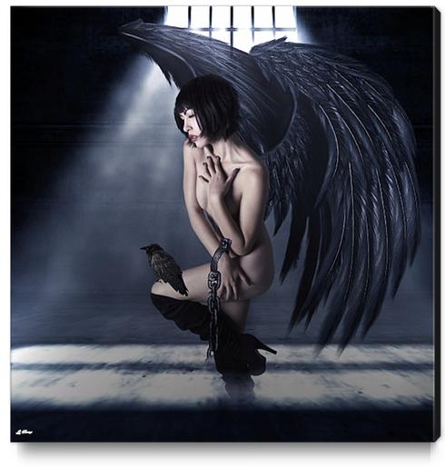 CAPTIVE RAVEN Canvas Print by G. Berry