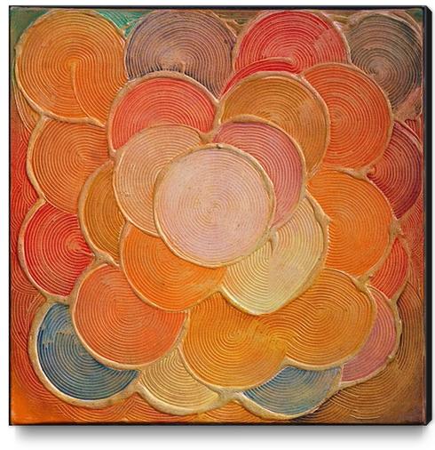 Cercles Sillons II Canvas Print by di-tommaso