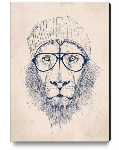 Cool lion Canvas Print by Balazs Solti