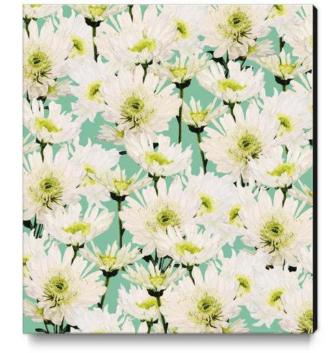 Gerbera Canvas Print by Uma Gokhale