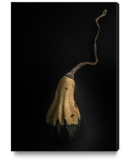 Gourds No 12 Color Version Canvas Print by The Learning Curve Photography