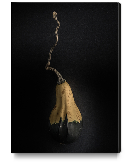 Gourds No 16 Color Version Canvas Print by The Learning Curve Photography