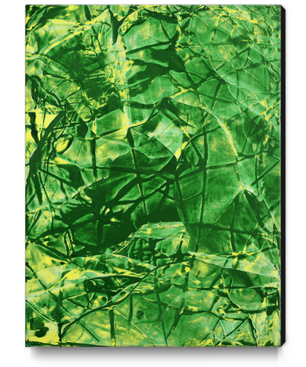 Raschegreen Canvas Print by Jerome Hemain