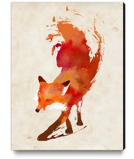 Vulpes Vulpes Canvas Print by Robert Farkas