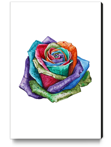 Rose Canvas Print by Nika_Akin