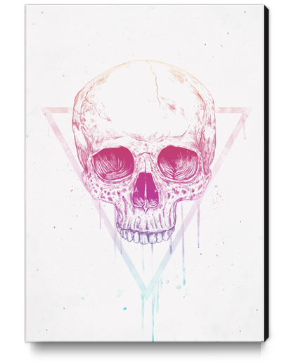 Skull in triangle Canvas Print by Balazs Solti