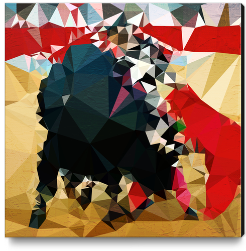 Toro! Canvas Print by Vic Storia