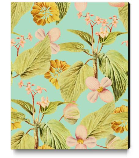 Vintage Summer Canvas Print by Uma Gokhale