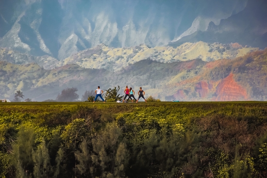 A group of people exercise on the mountain with beautiful view at Kauai, Hawaii by Timmy333