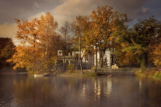 Golden leaves  by Jarek Blaminsky