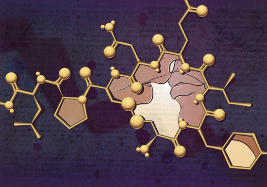 Kiss and Oxytocin by IlluScientia