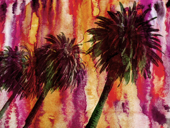 Hollywood Palms  by Irena Orlov