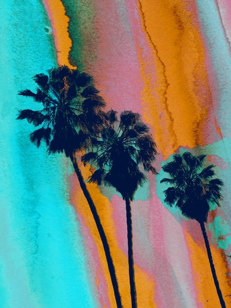 Los Angeles Palms by Irena Orlov