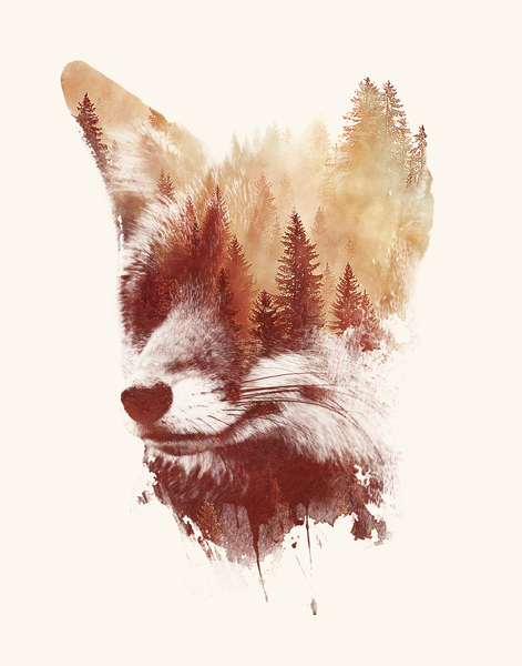 Blind Fox by Robert Farkas