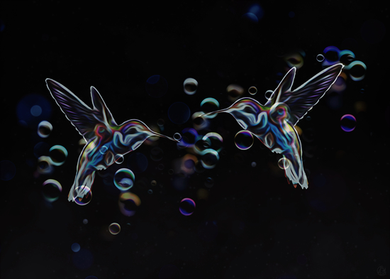 Hummingbirds by Seamless