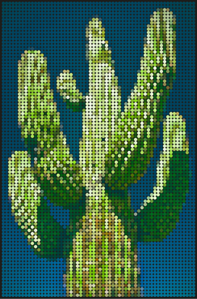 Cactus circle by Vic Storia