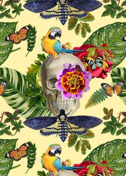 TROPICAL SKULL by GloriaSanchez