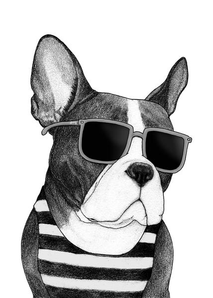 Frenchie Summer Style bw by Barruf