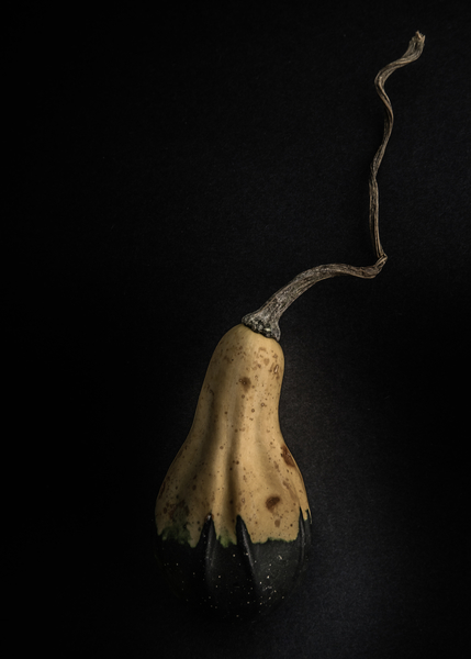 Gourds No 12 Color Version by The Learning Curve Photography
