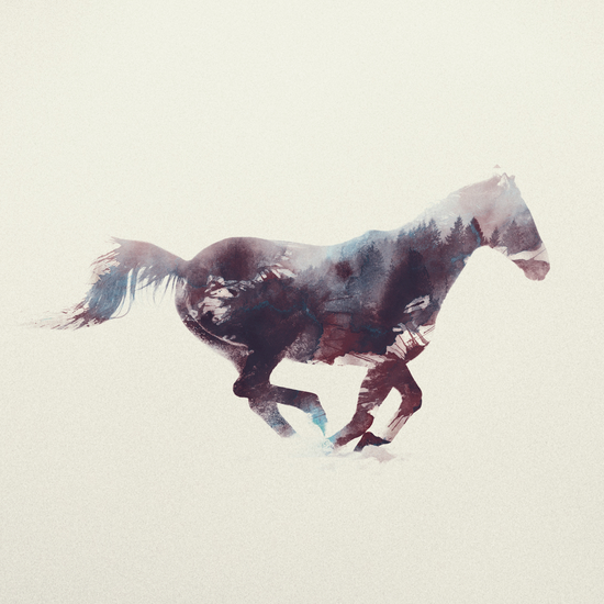 Horse by Andreas Lie