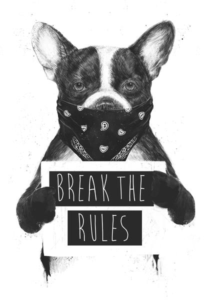 Rebel dog by Balazs Solti